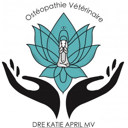 Service d'Ostéopathie Vétérinaire Mobile Dre Katie April mv., établissement vétérinaire à Lévis